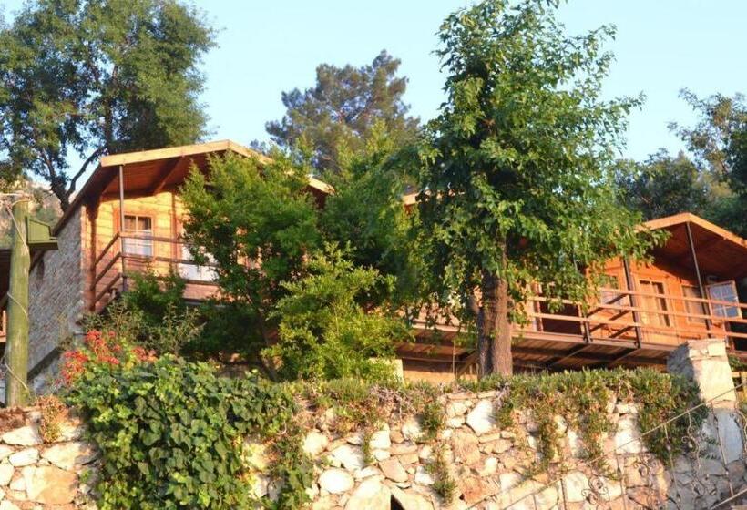 Onur Motel Faralya Fethi̇ye