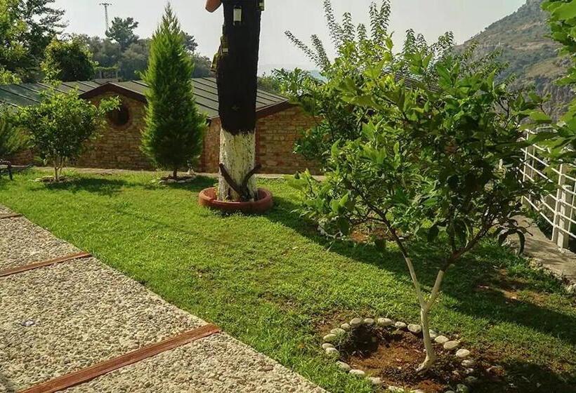 Onur Motel Faralya Fethi̇ye