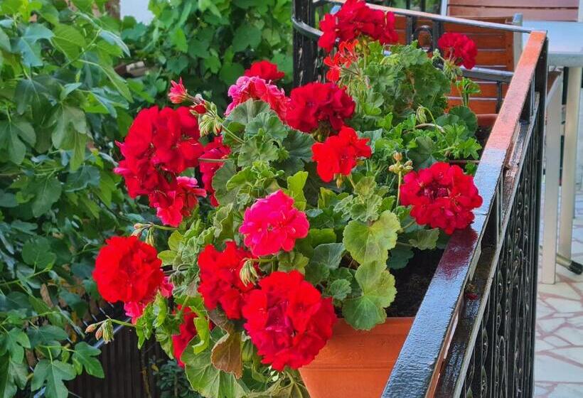 بنسيون Casa Bianca