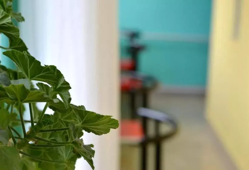 Danista Nomads Tour Hostel
