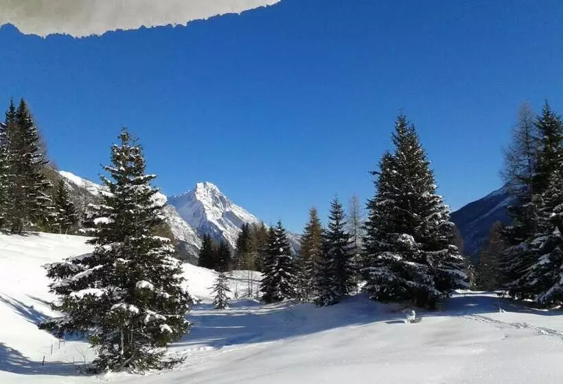 ペンション Appartements Tyrol