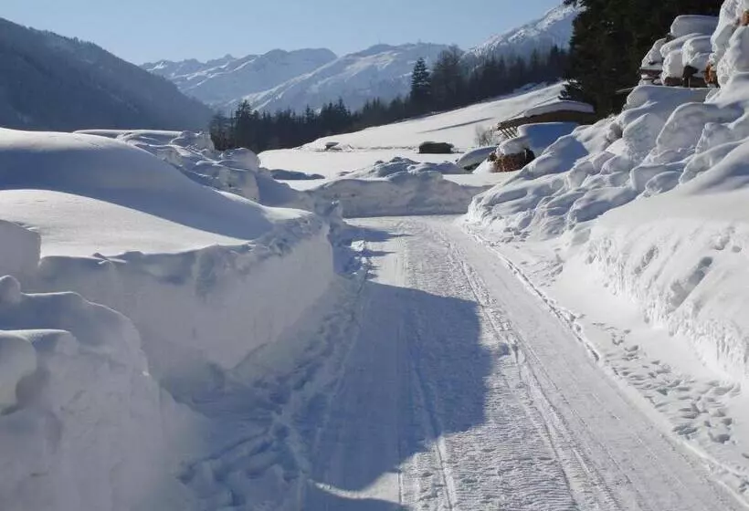 ペンション Appartements Tyrol