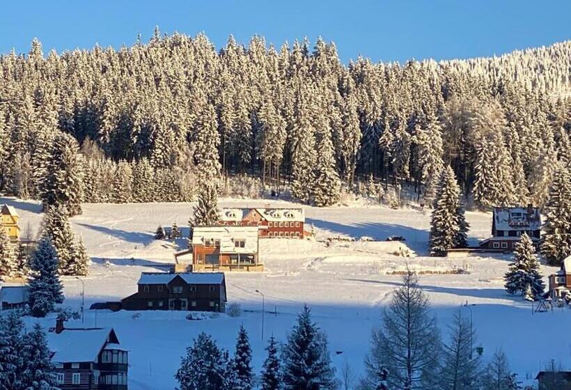 بنسيون Penzion Pod Lesem