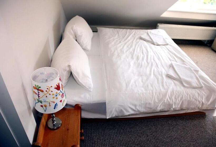 بنسيون Penzion Pod Lesem