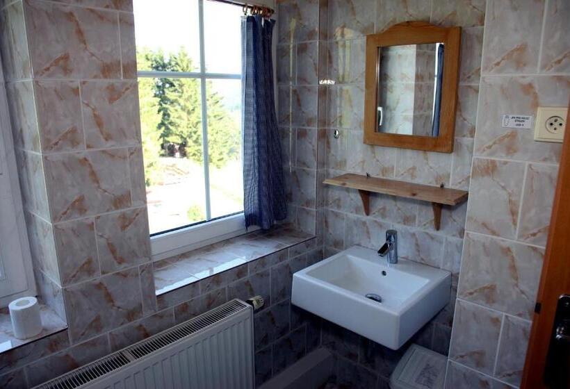 بنسيون Penzion Pod Lesem