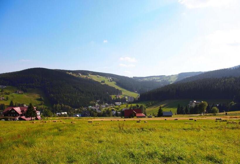 بنسيون Penzion Pod Lesem