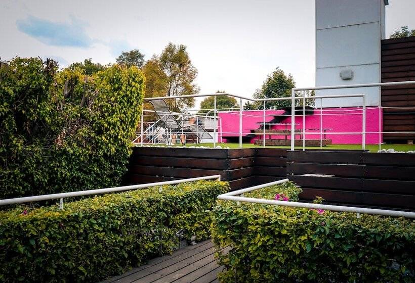 هاستل Hostal Cuija Coyoacán