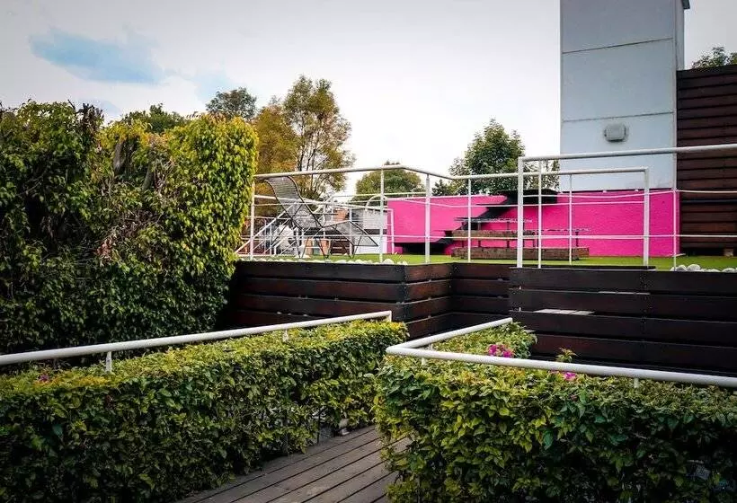 ユースホステル Hostal Cuija Coyoacán