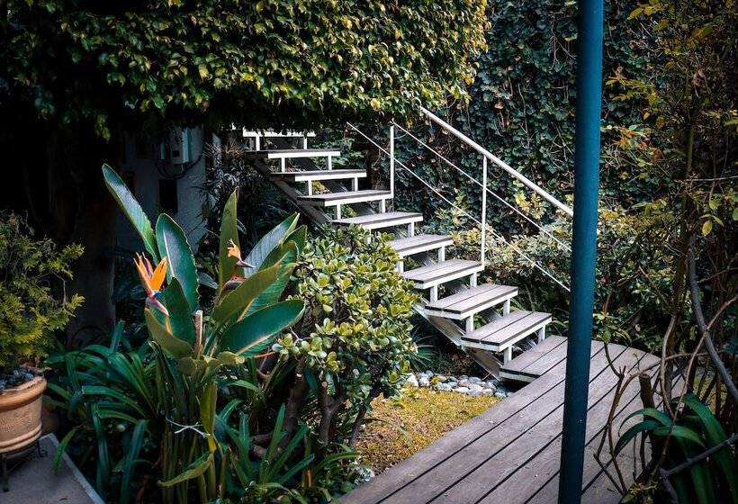 هاستل Hostal Cuija Coyoacán