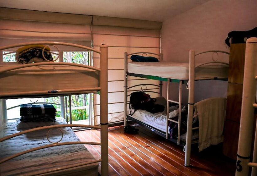 هاستل Hostal Cuija Coyoacán