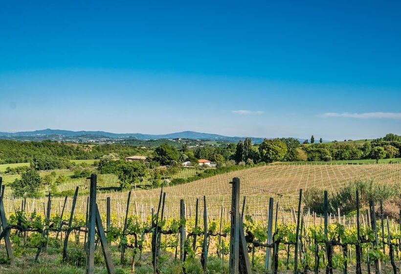 בית מלון כפרי Agriturismo Palazzo Bandino   Wine Cellar, On Reservation Restaurant And Spa