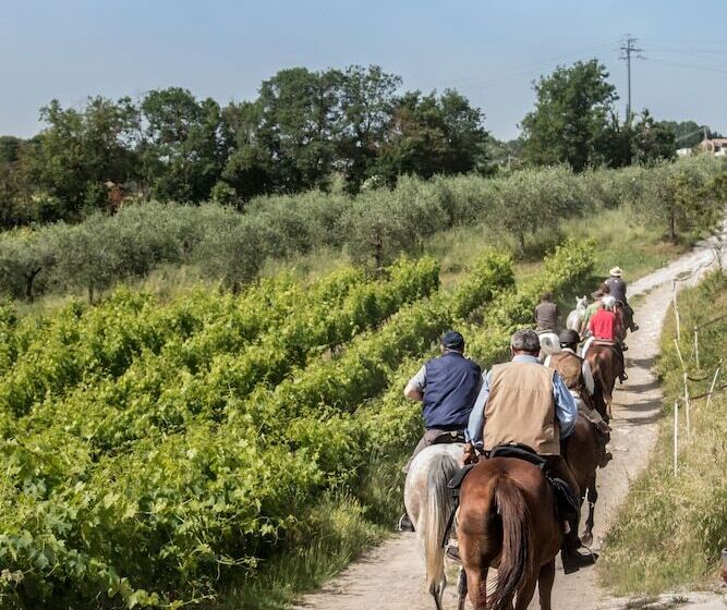בית מלון כפרי Agriturismo Palazzo Bandino   Wine Cellar, On Reservation Restaurant And Spa