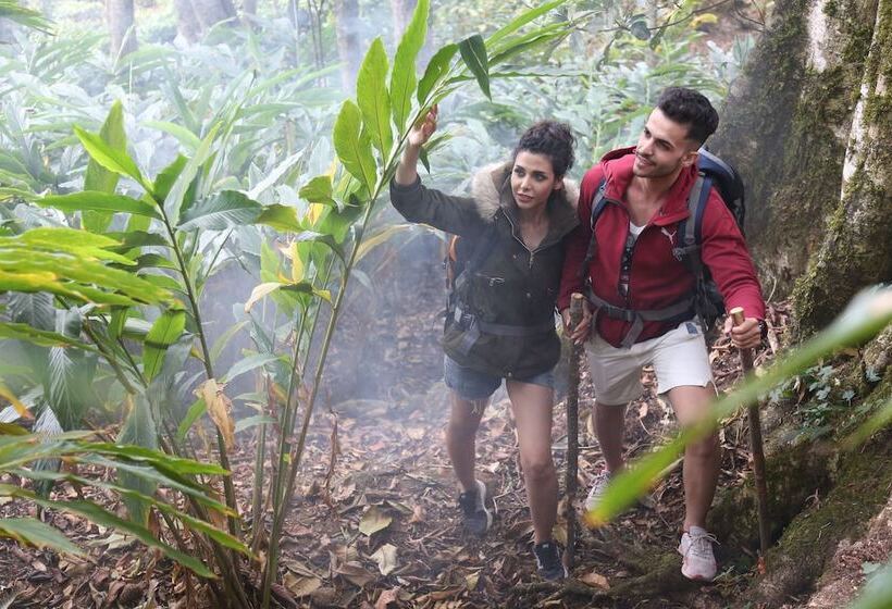 בית מלון כפרי Fragrant Nature Munnar   A Five Star Classified