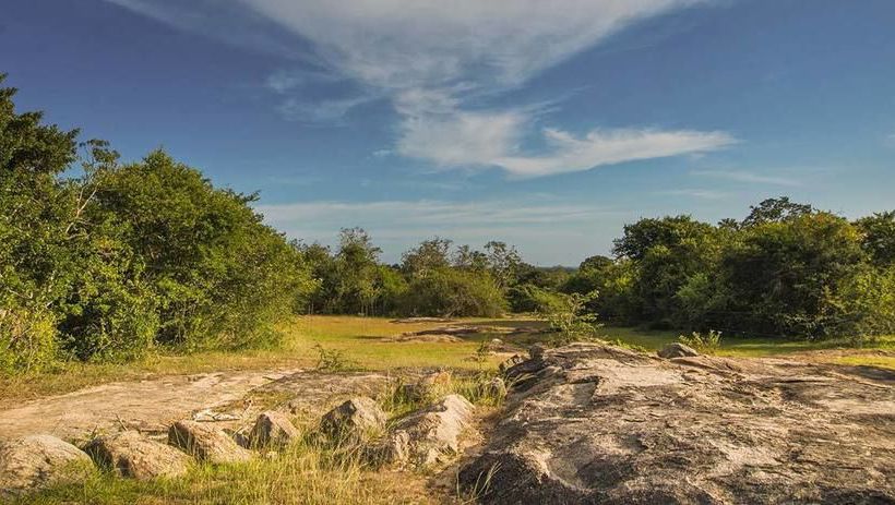 فندق Wild Trails Yala Eco Camp