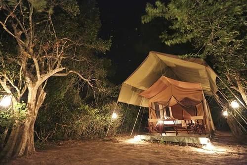فندق Wild Trails Yala Eco Camp