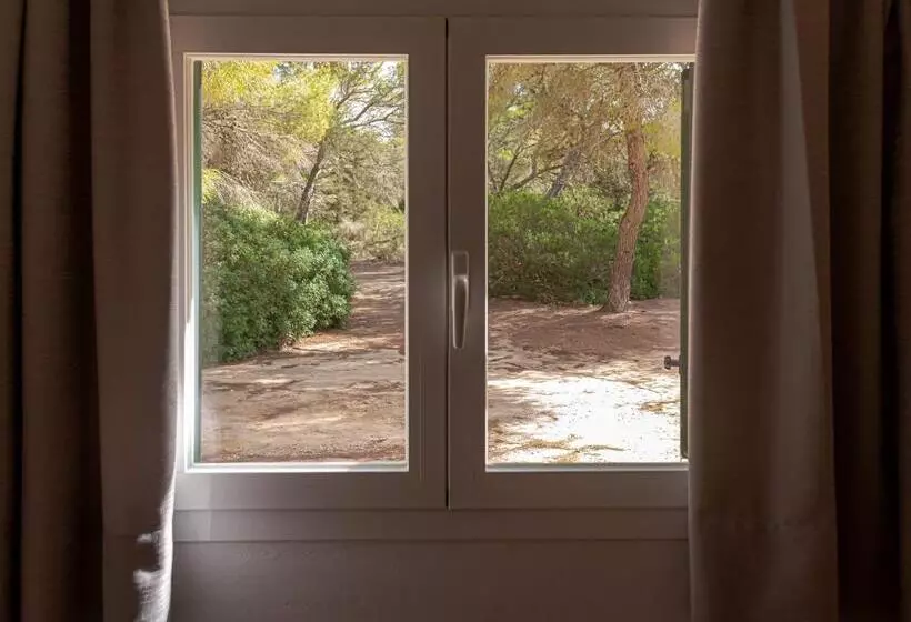 Apartamentos El Pino  Formentera Break