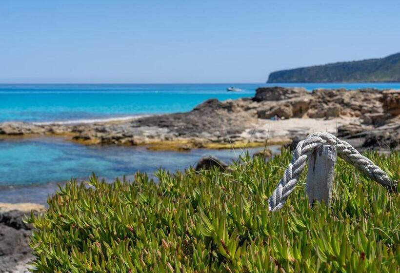 Apartamentos El Pino  Formentera Break