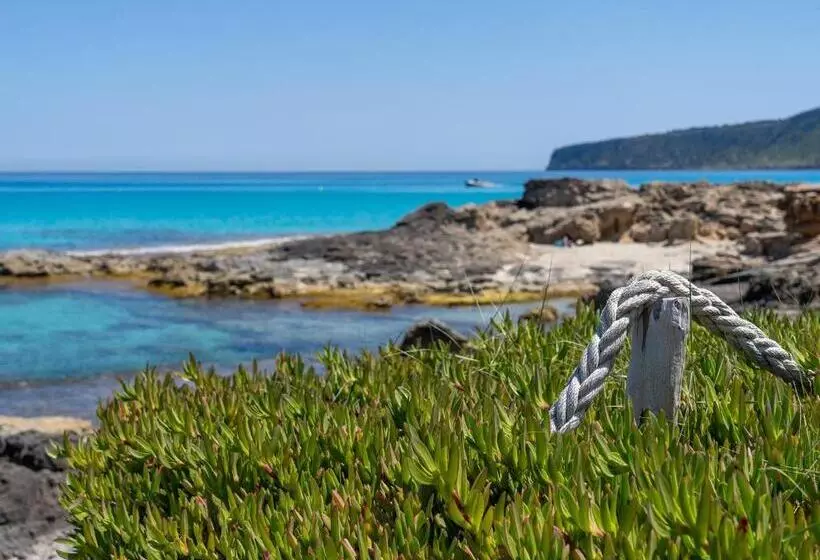 Apartamentos El Pino  Formentera Break