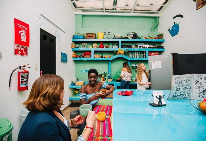 Hostal El Armario Hostel