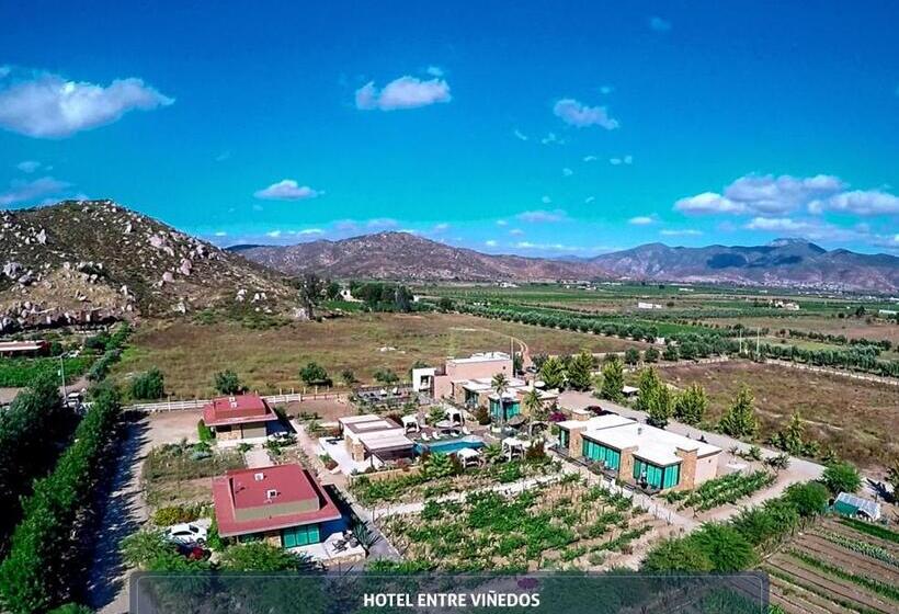 فندق Boutique Valle De Guadalupe & Spa