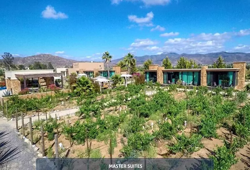 هتل Boutique Valle De Guadalupe & Spa