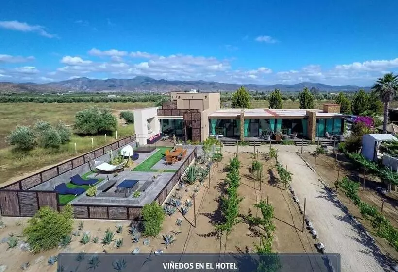 هتل Boutique Valle De Guadalupe & Spa