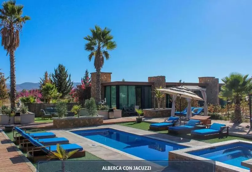 هتل Boutique Valle De Guadalupe & Spa