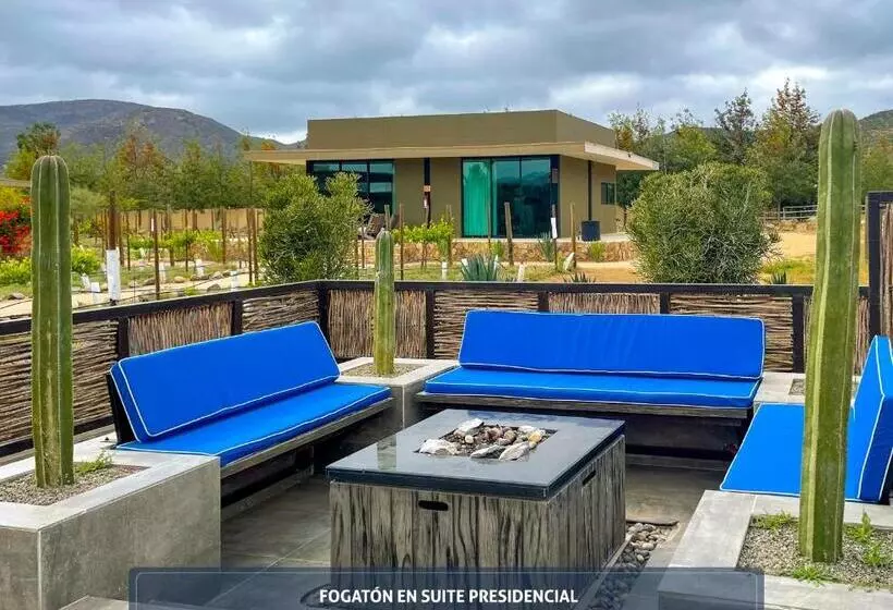 هتل Boutique Valle De Guadalupe & Spa