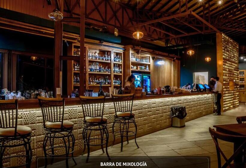 فندق Boutique Valle De Guadalupe & Spa