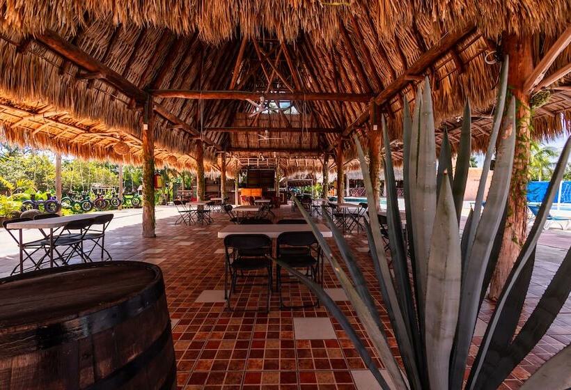 فندق Hacienda Ixtlan