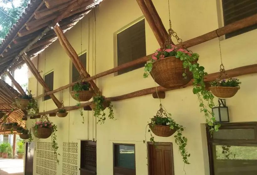 בית מלון כפרי La Casa Del Mago