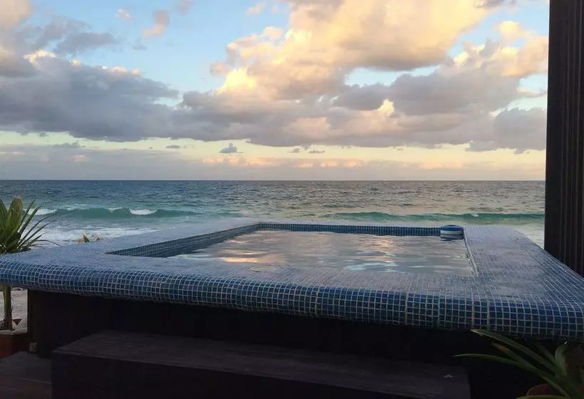 Hotel Luna D Miel Suites