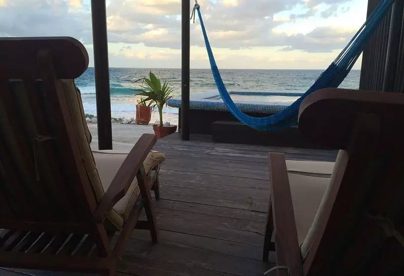 Hotel Luna D Miel Suites