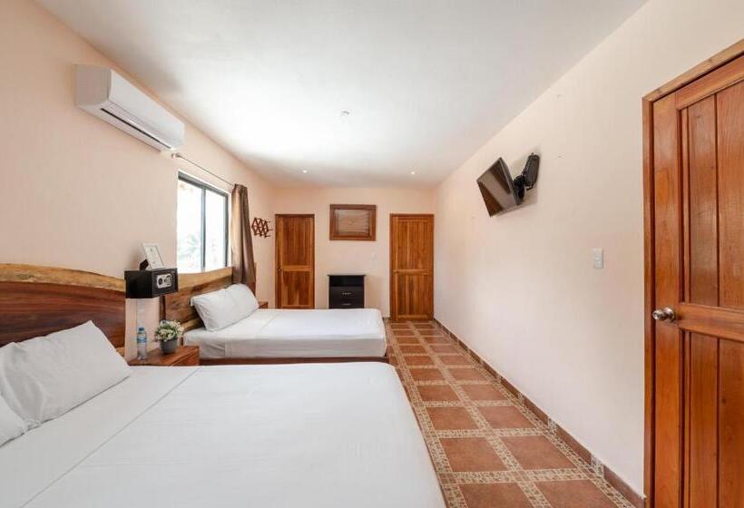 فندق Posada El Perico Marinero