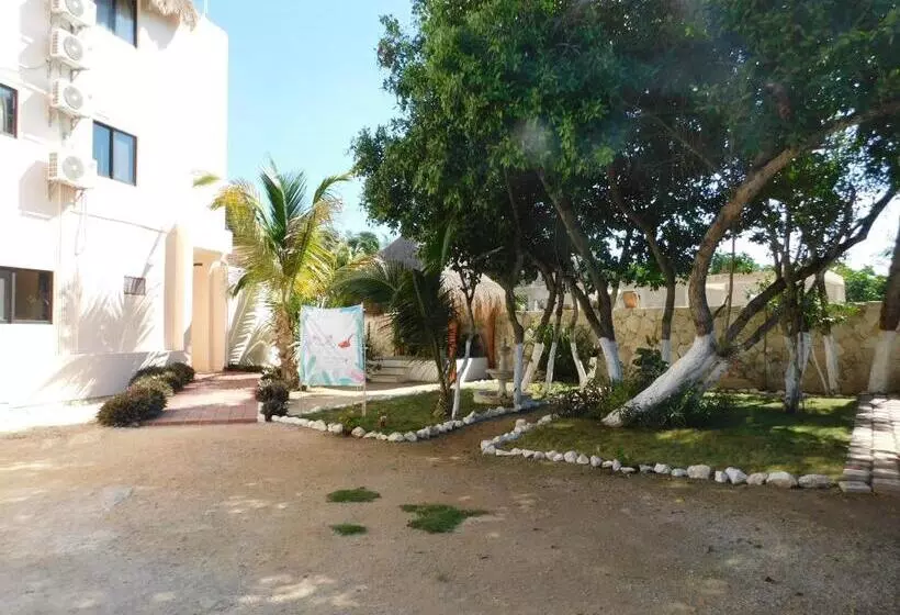 酒店 Posada El Perico Marinero