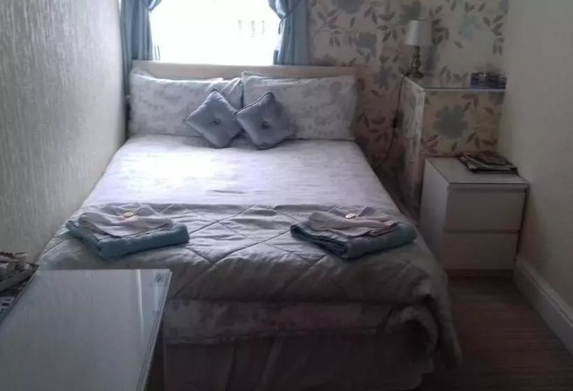 بنسيون The Trevelyan