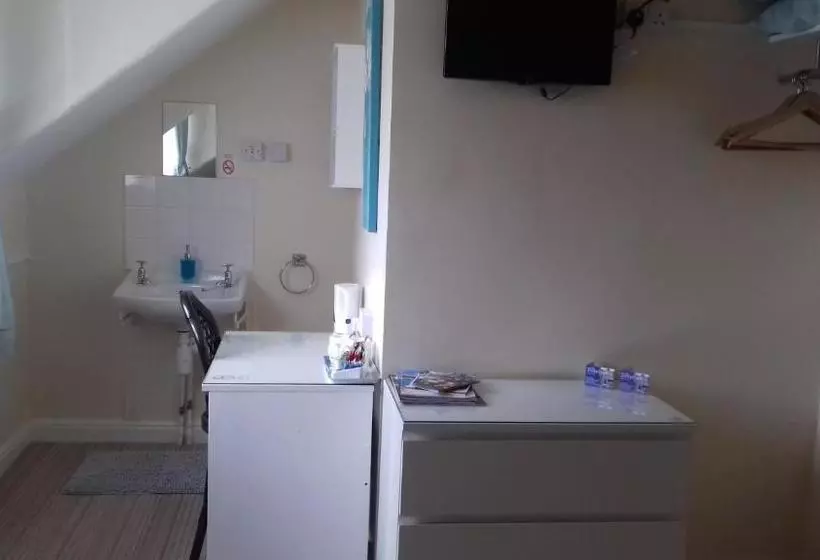 بنسيون The Trevelyan