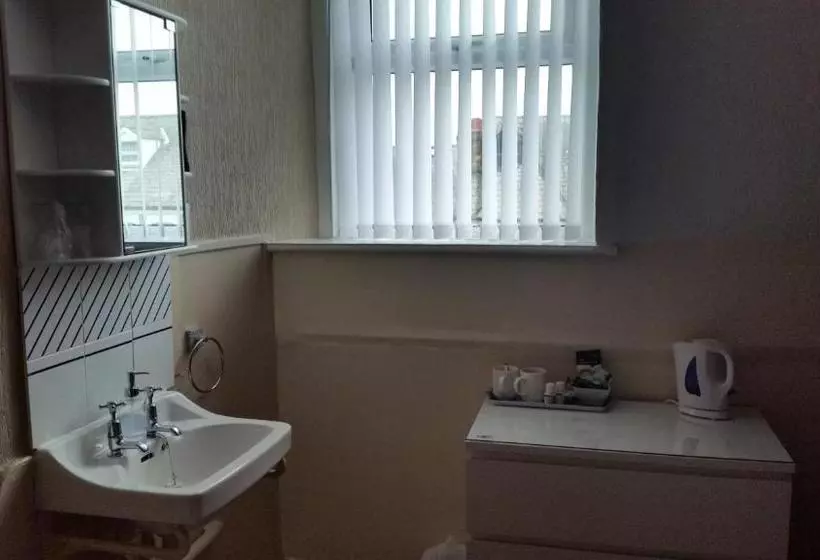 بنسيون The Trevelyan