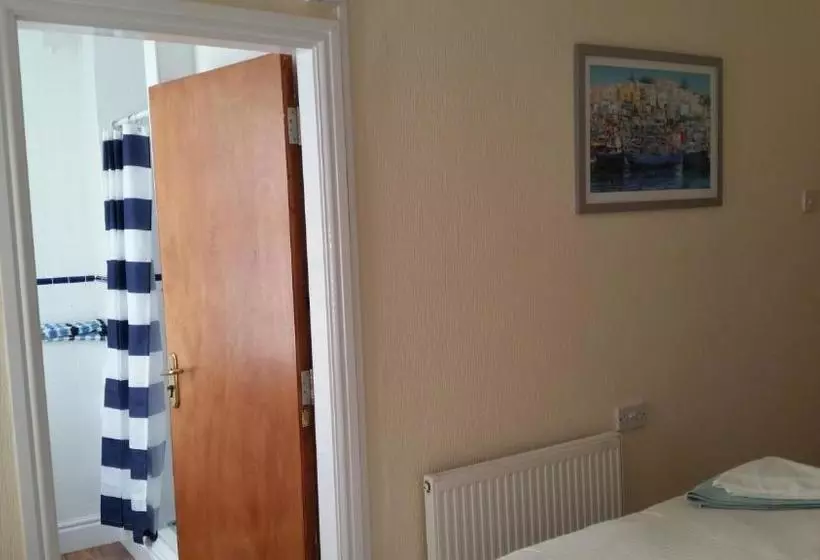 بنسيون The Trevelyan