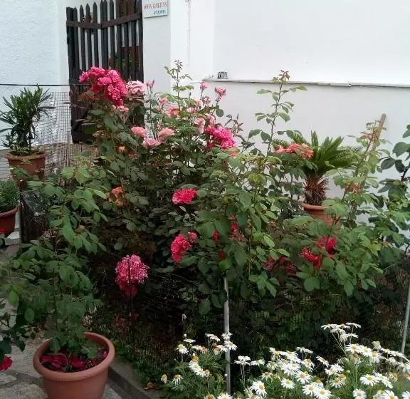 Sofia's Garden Studios