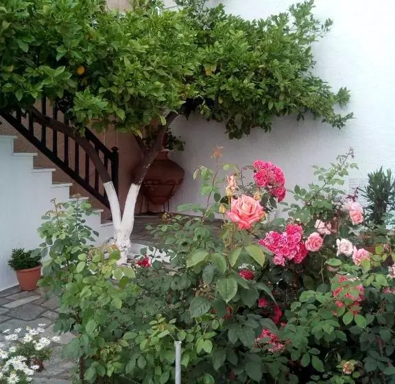 Sofia's Garden Studios