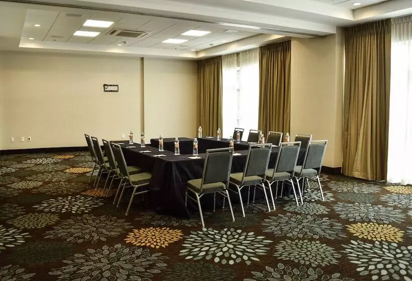 Staybridge Suites Puebla, An Ihg