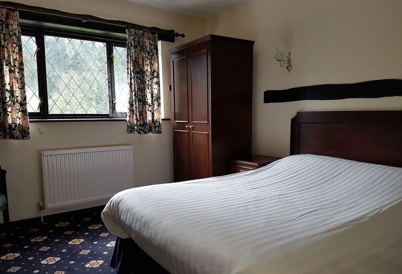 فندق The Regency