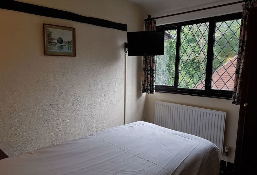 فندق The Regency