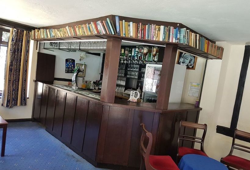 فندق The Regency