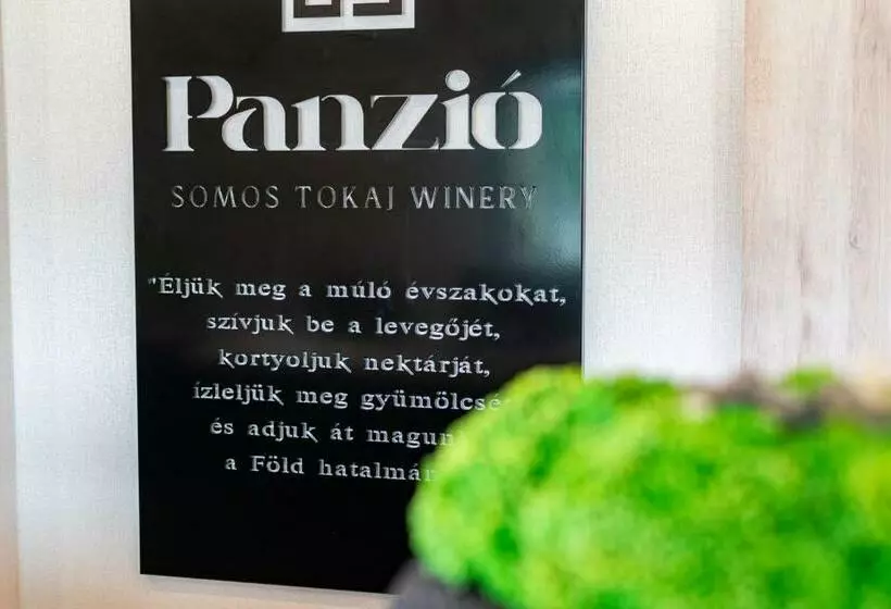 ベッドアンドブレックファースト Somos Panzió
