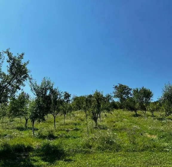 Pensiunea Lili’s House