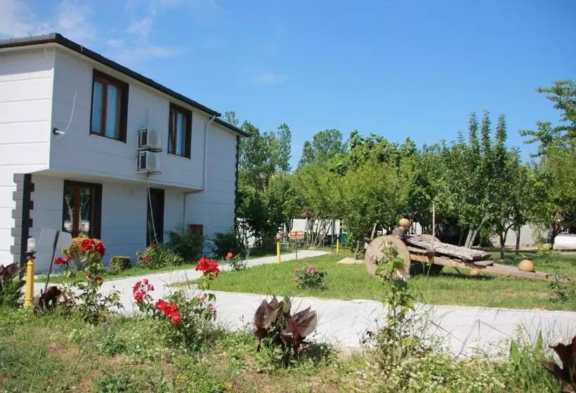 Sinopsis Resort Otel