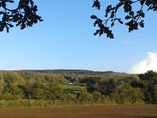 Bed and Breakfast Amberley Cottage