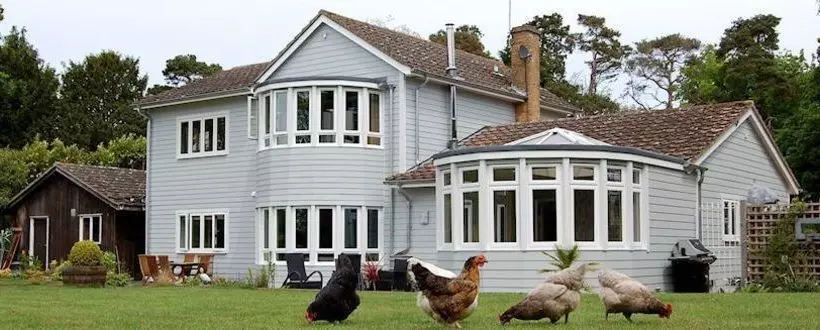 Bed and Breakfast Hare Lodge